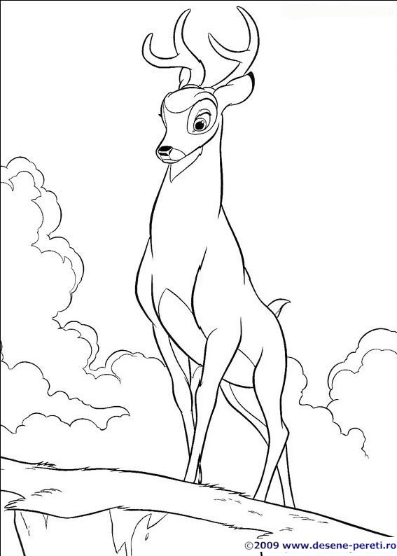 bambi desene colorat